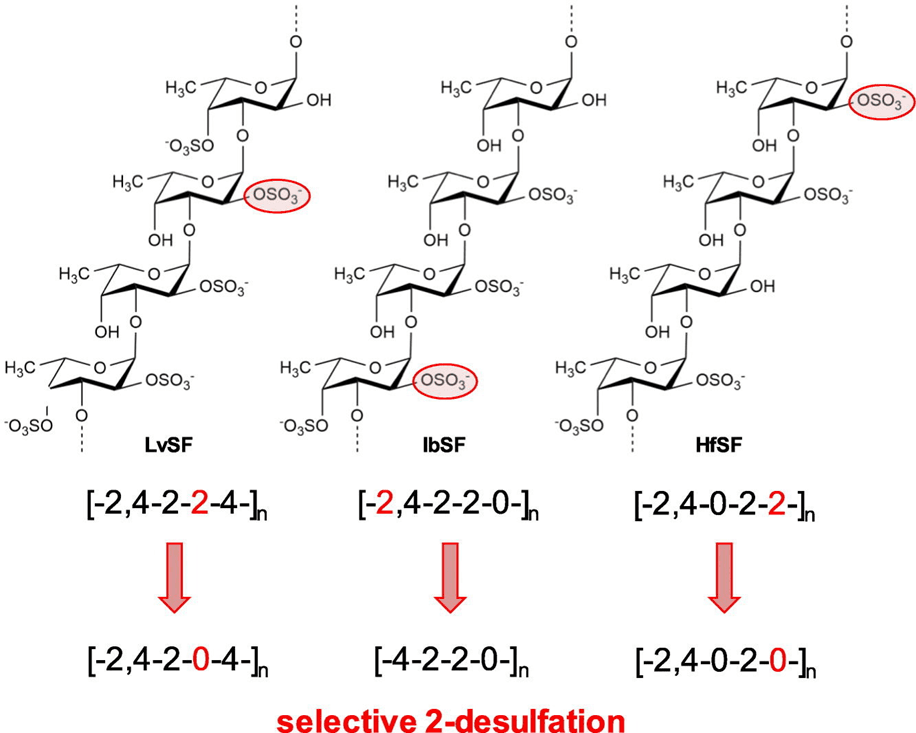 해조류 활용 신산업 생태계 조성 방안 연구