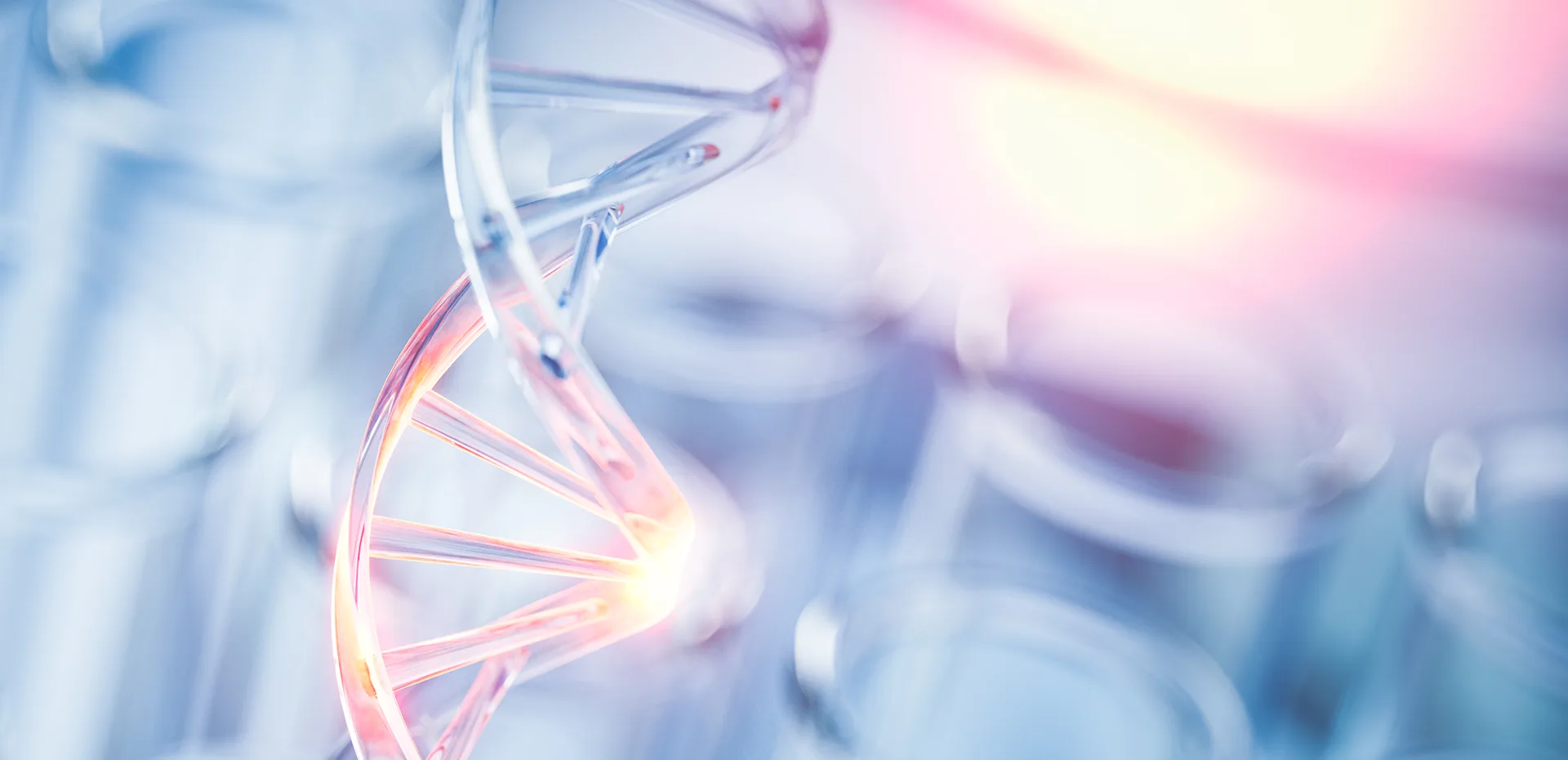 센터장 인사말 배경